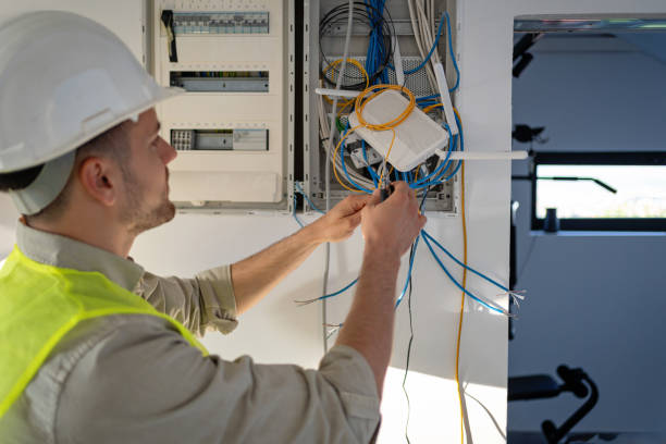 Best Electric Panel Repair  in Ball Ground, GA